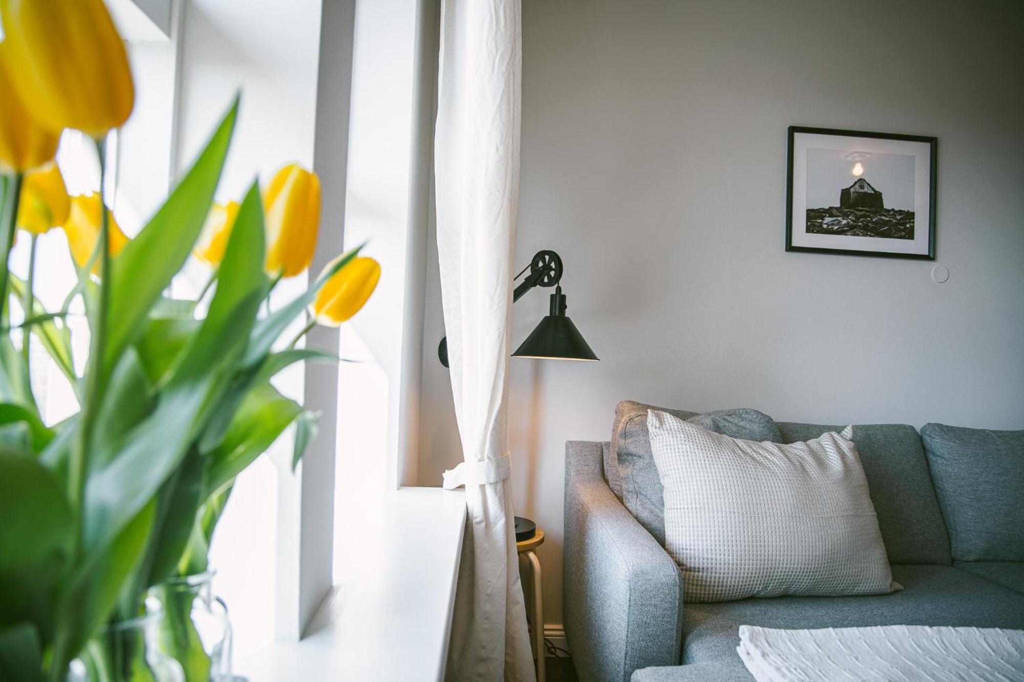 Milli Vina Guesthouse Боргарнес Екстериор снимка